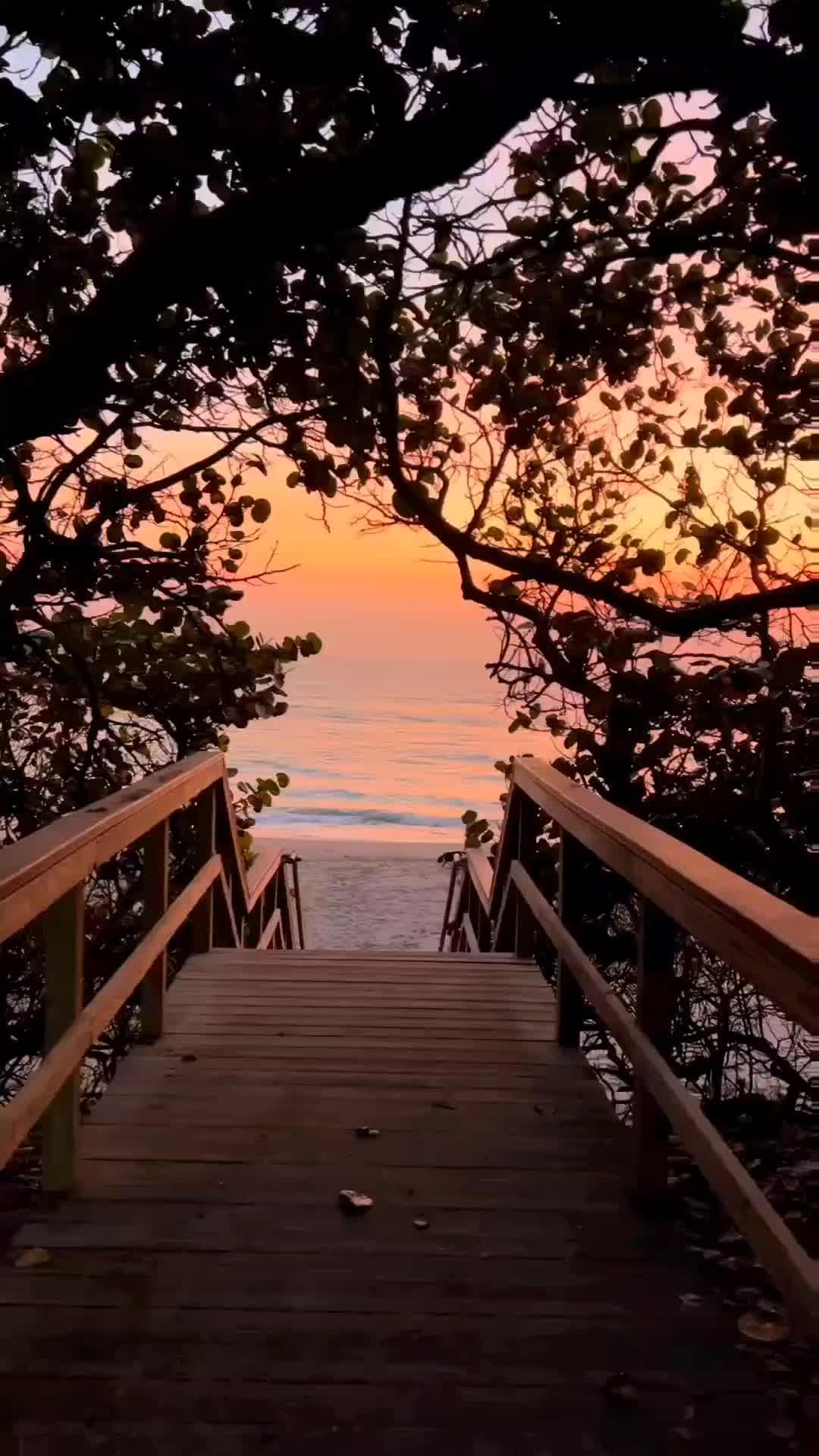 @☆§@BŘ¥✨️🖤✨️🪬✨️☆