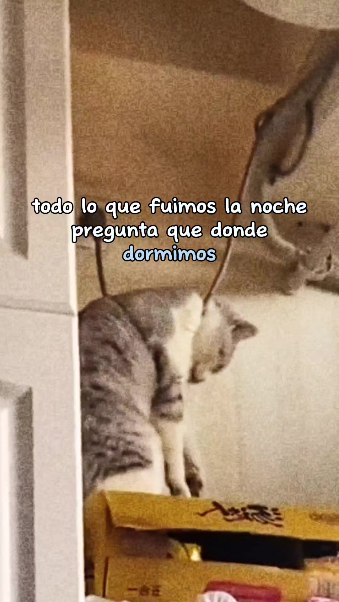 @Peluckas13