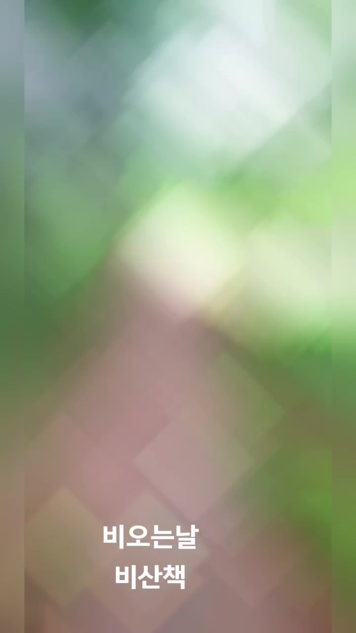 @도보여행가 김도경