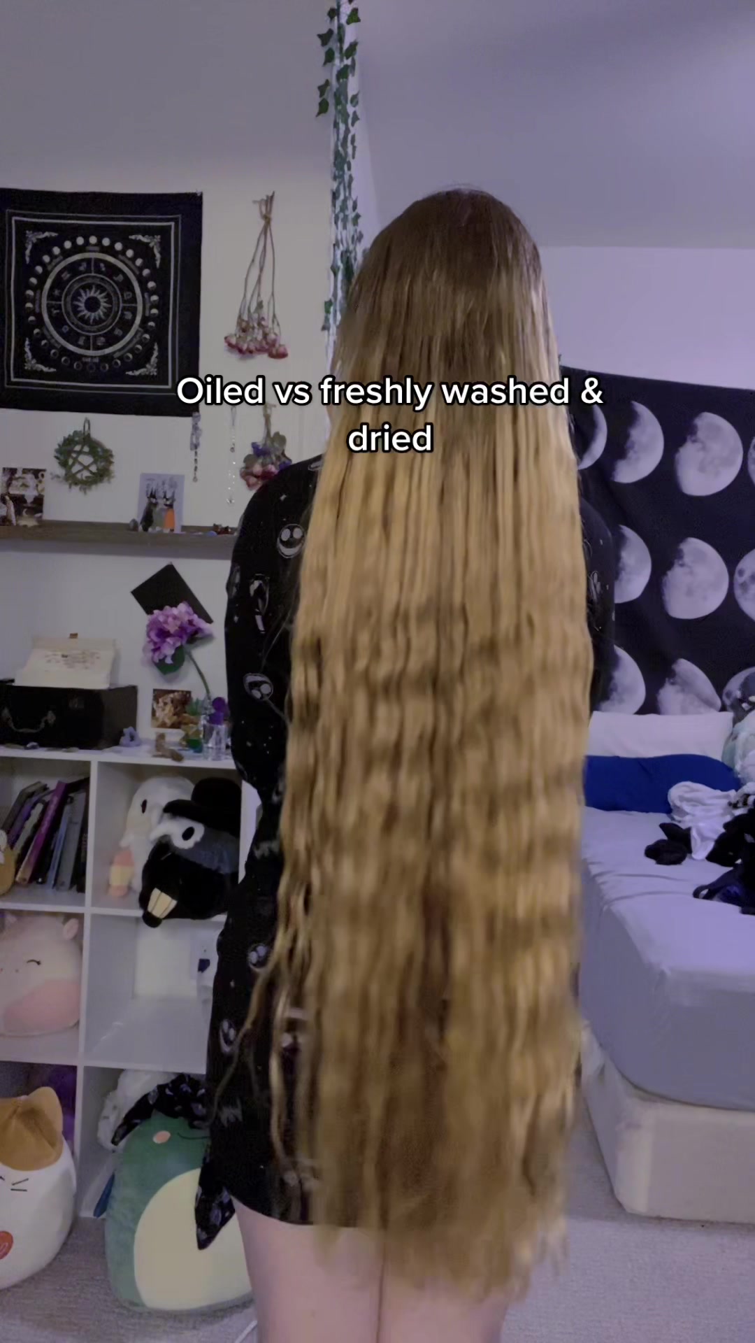 @HauntedMaiden 🌙