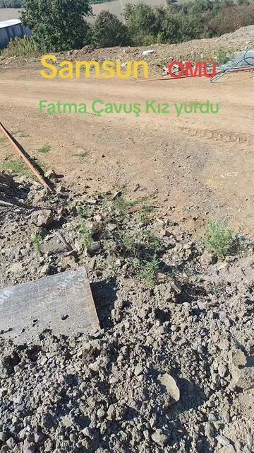 @ilahi sevdalısı