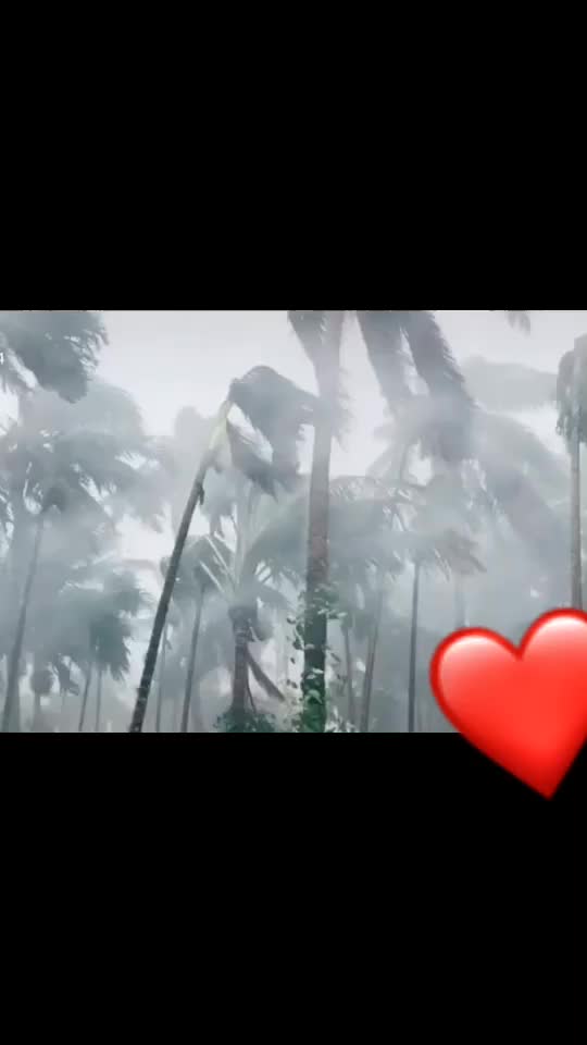 @Mansibanekar1607