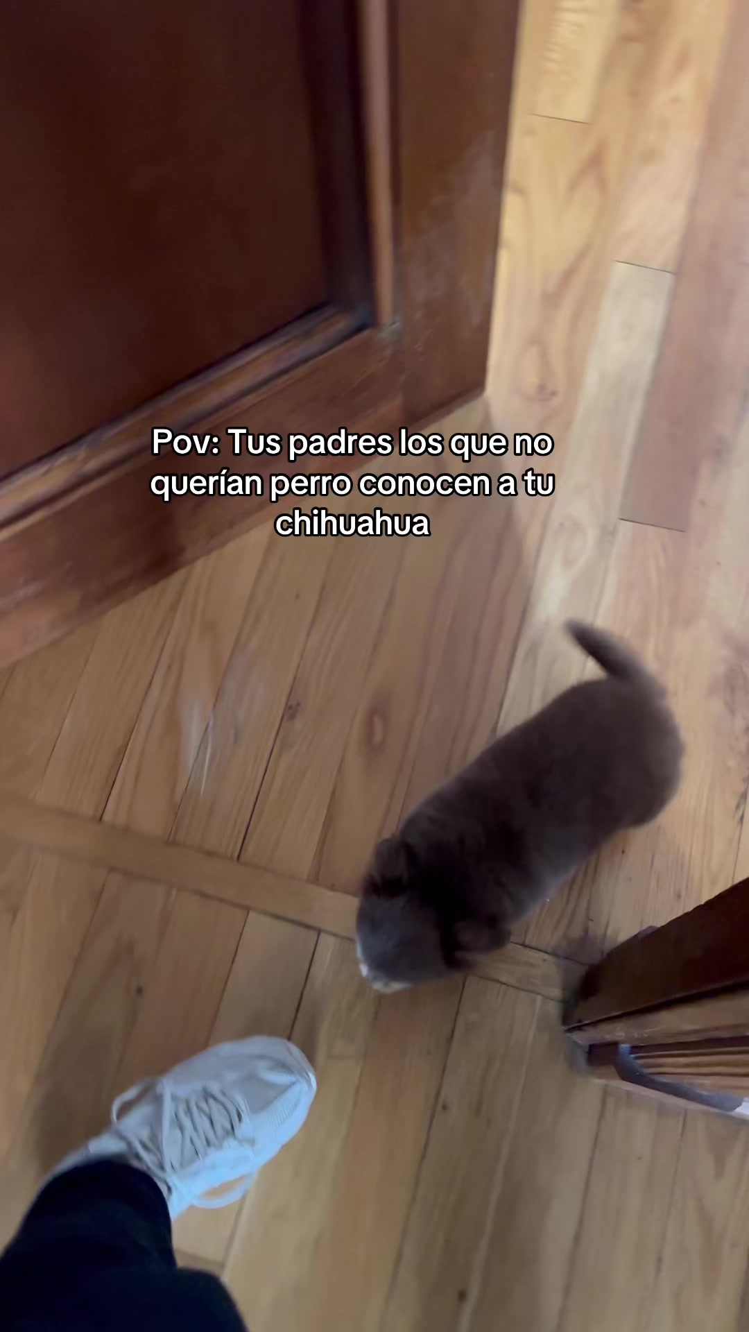 @Olga Catena