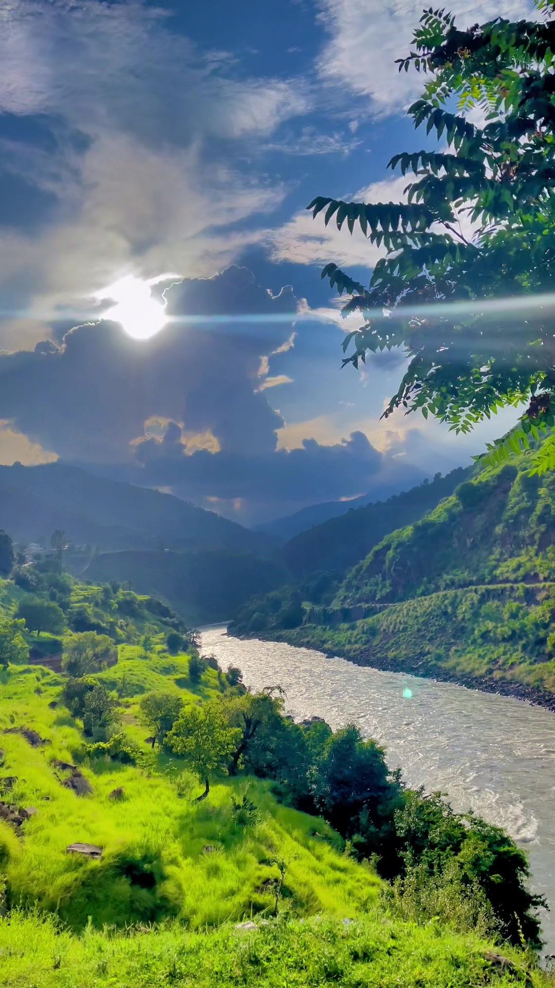 @Aamir Kashmiri 🍁