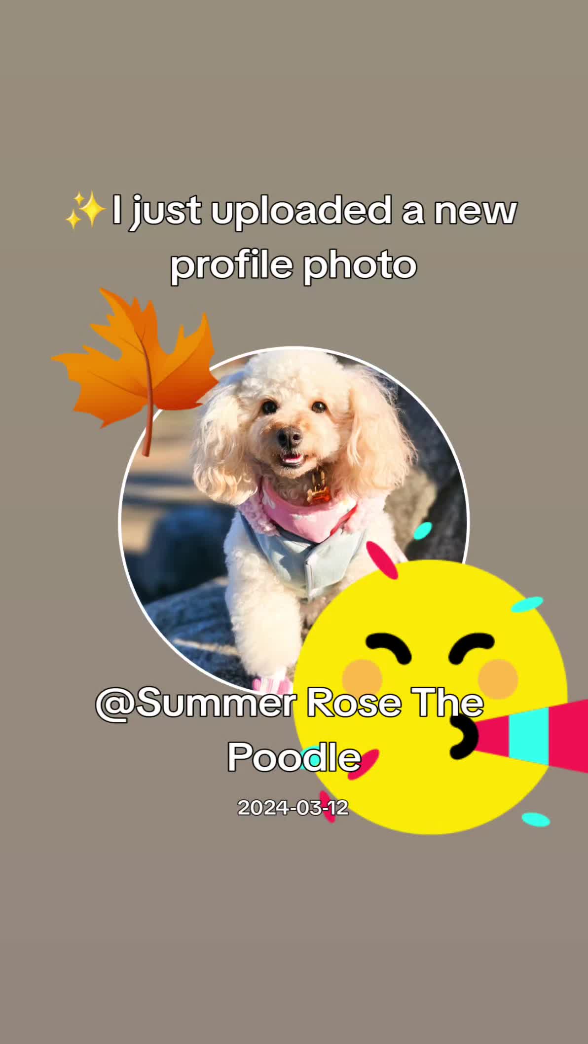 @Summer Rose The Poodle