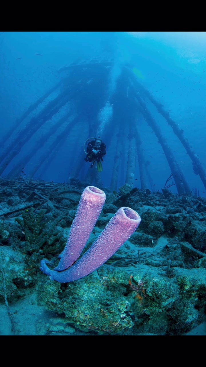 @The Scuba Place