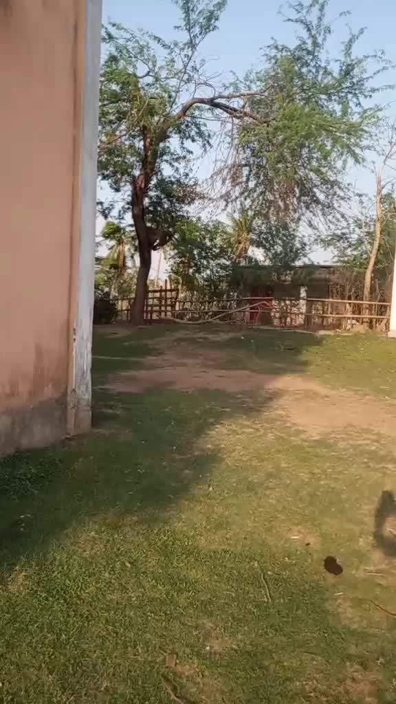 @santanu padhi