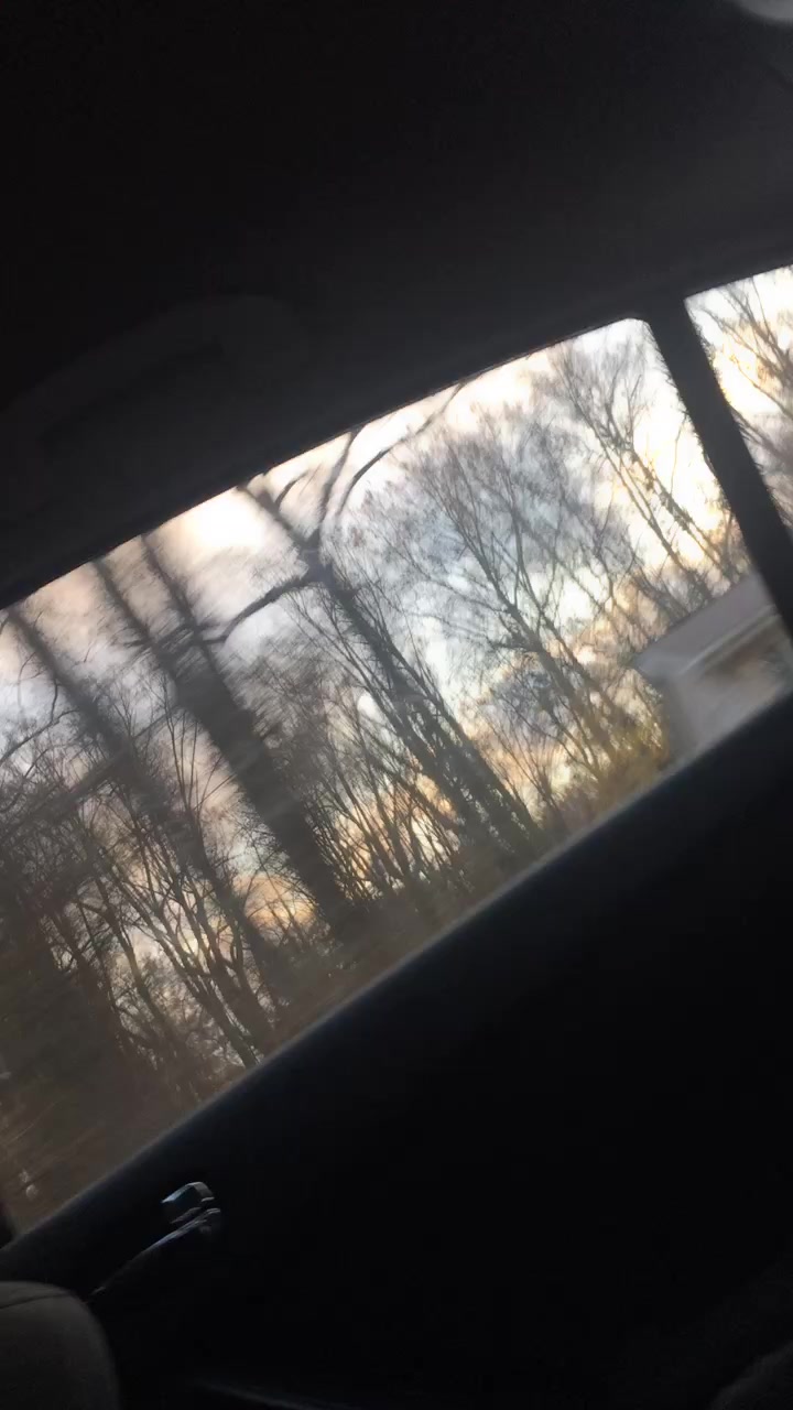 @🌵кяιѕтαℓуии🌵