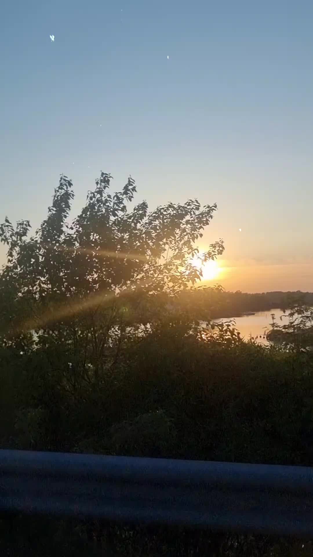 @fe55e