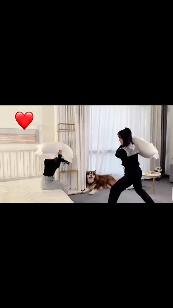 @ᴀʟᴏʀᴀ♡︎✨