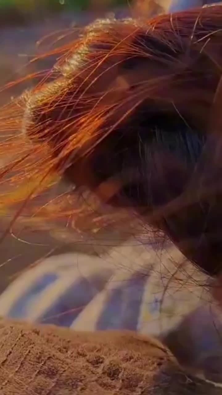 @♡ČËŠY ĎË BËŤH♡🥰🤍⚘²³☆-☆