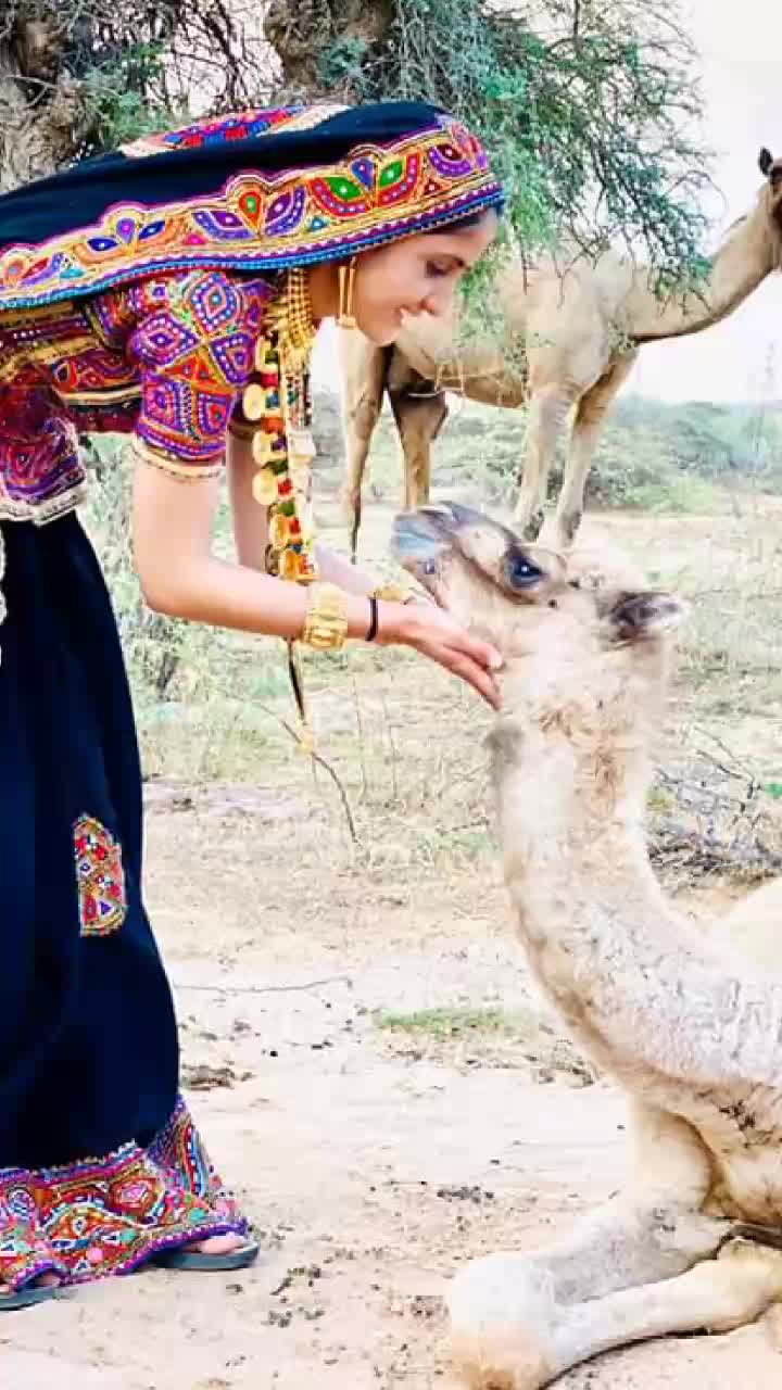 @🔥🔥RABARI🔥🔥RJ🔥🔥