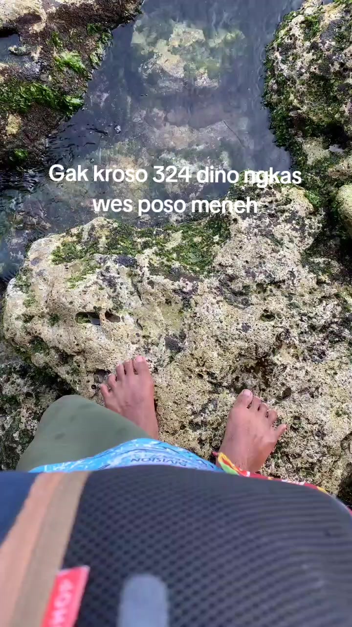 @NOGOSARI 🦆