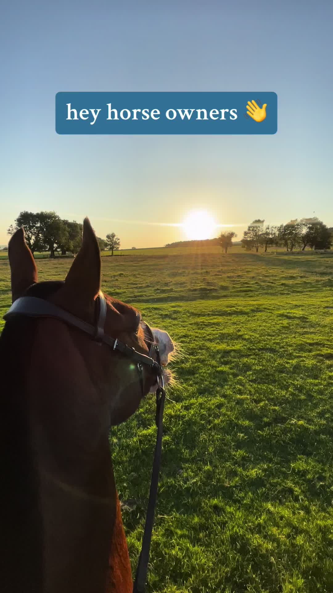 @Yardd | Equine Life Simplified