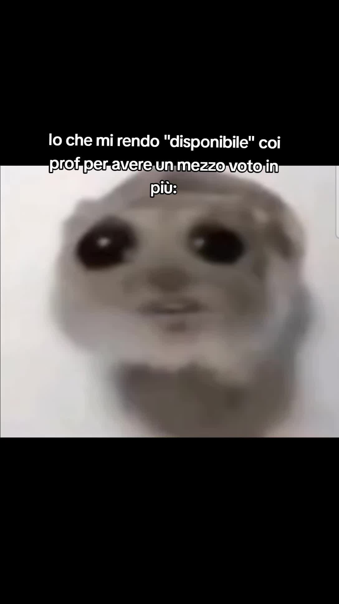@rottn_dazies.lookjstlku