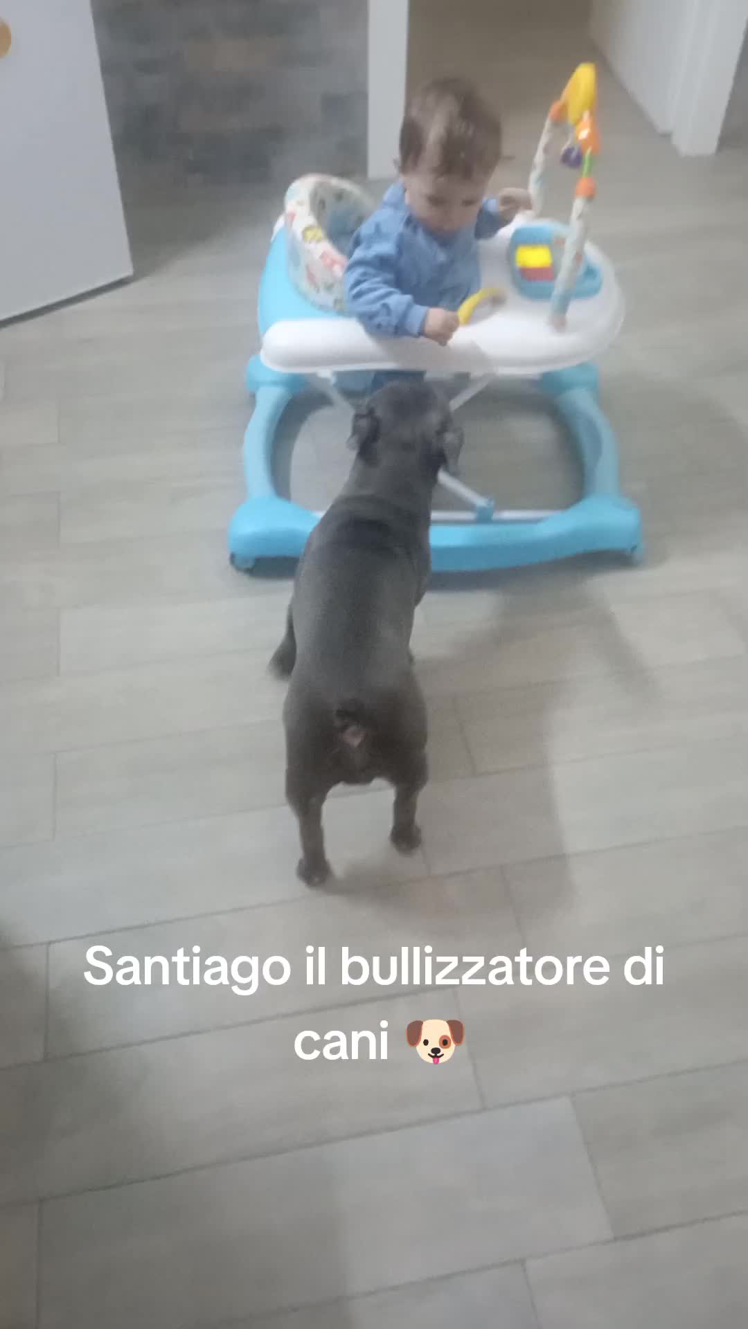 @Luciana