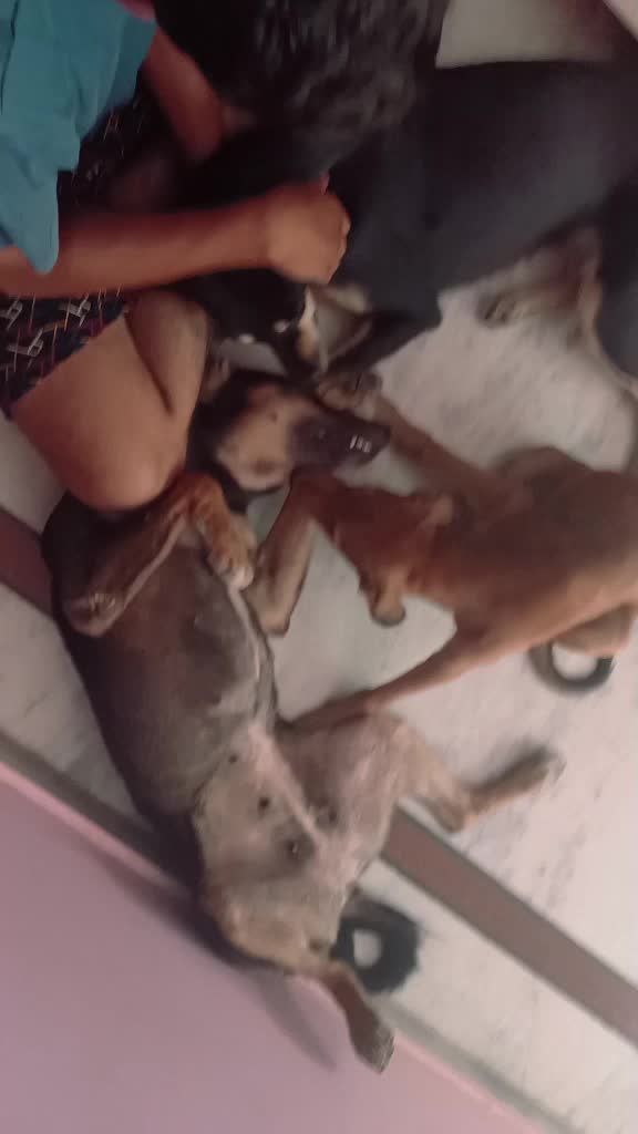 @user38312434366