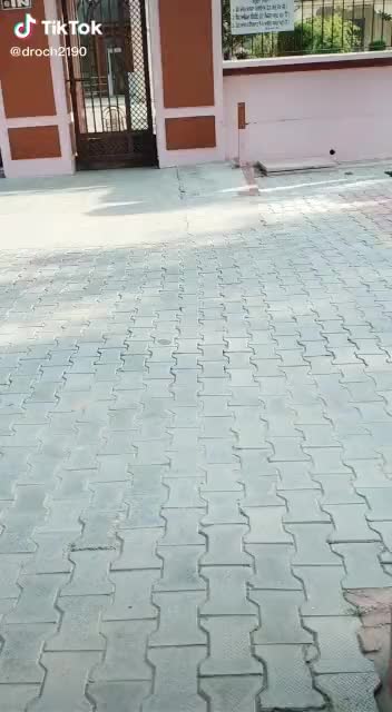 @Raj Kumar Kumar