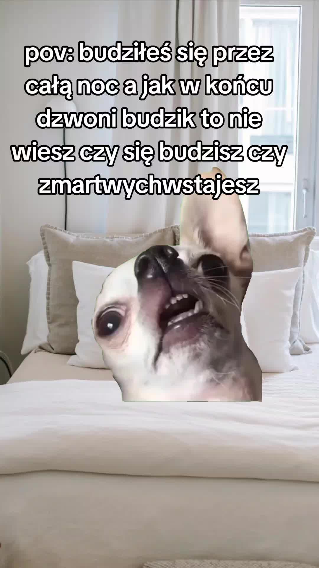 @Juu.Troooo