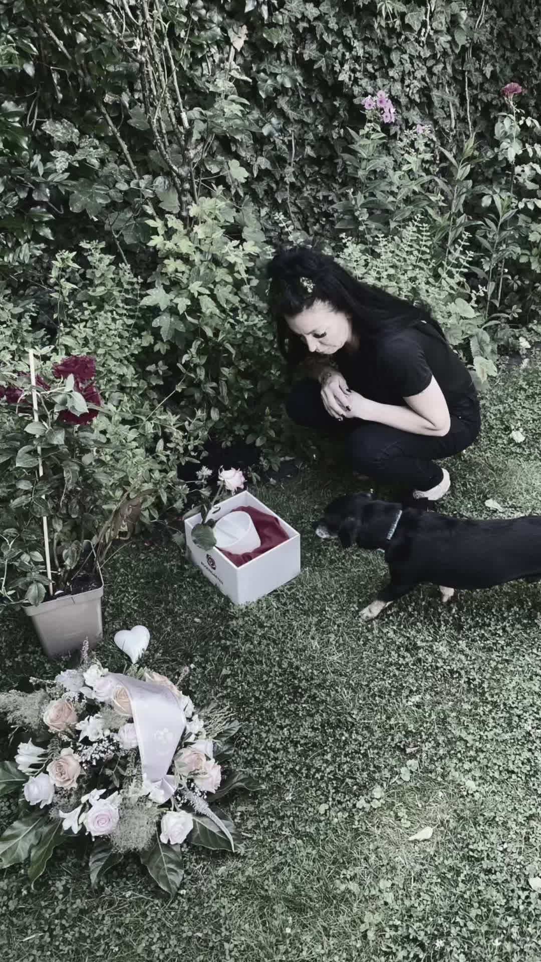 @MrsOPunkt