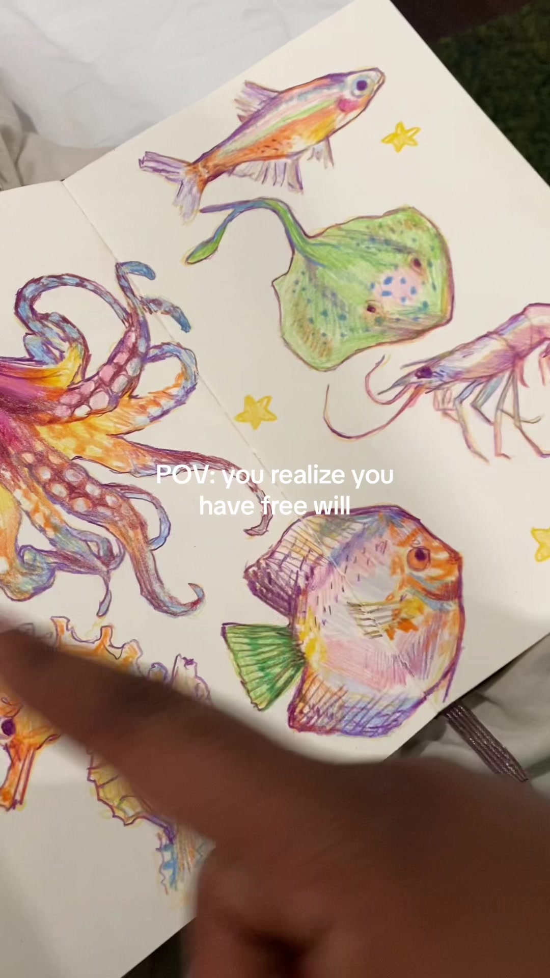 @Efé 🧝🏾♀️