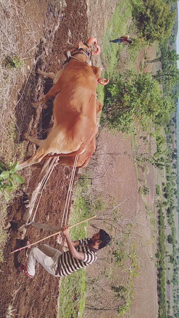 @sudarshan patil