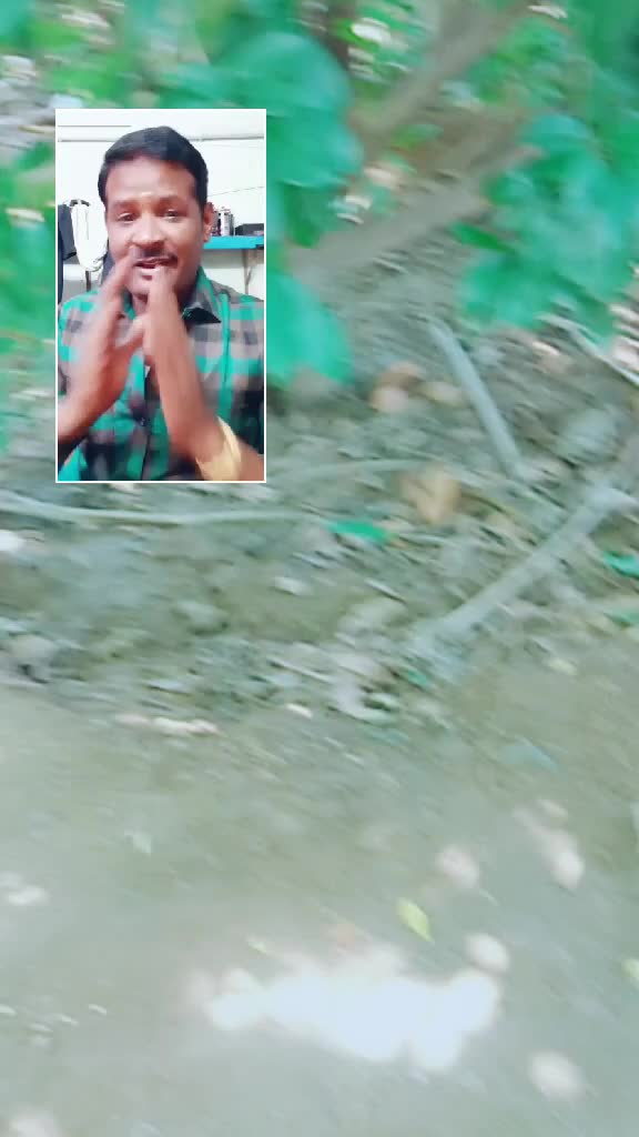 @user319060