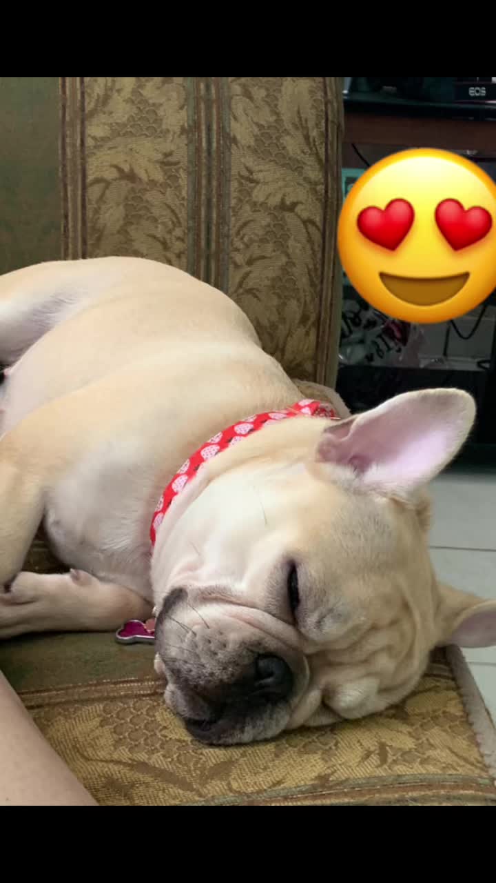 @Mara11❤️