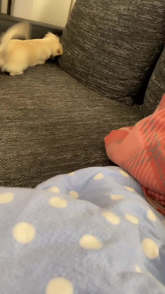 @Nataschaabhn