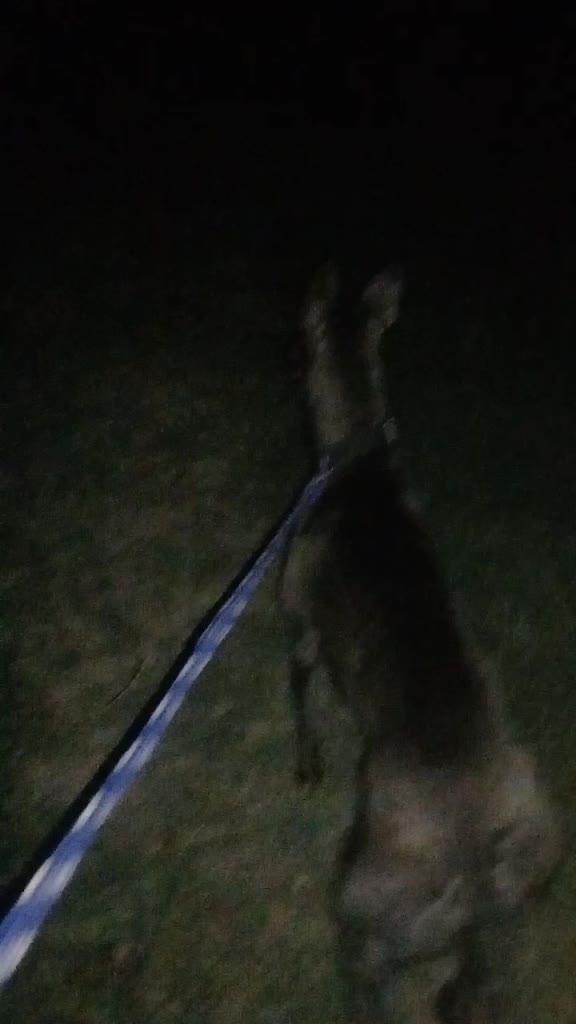 @Arsh sammipuria