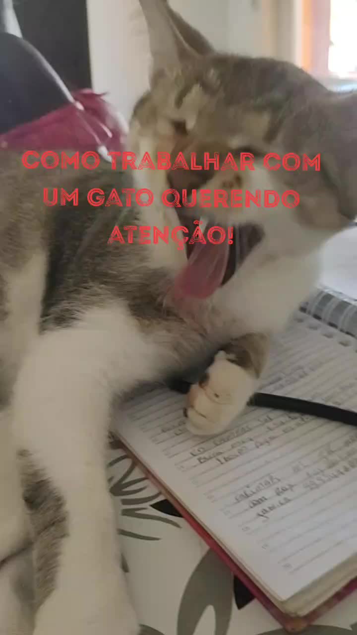@Jo Sebastiany