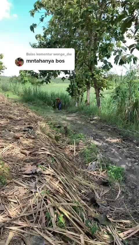 @Riobratajaya1218