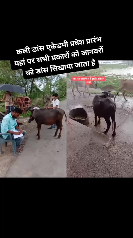 @kamlesh parmar