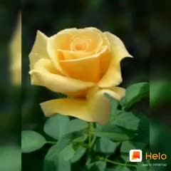 @Munagala usha Munaga