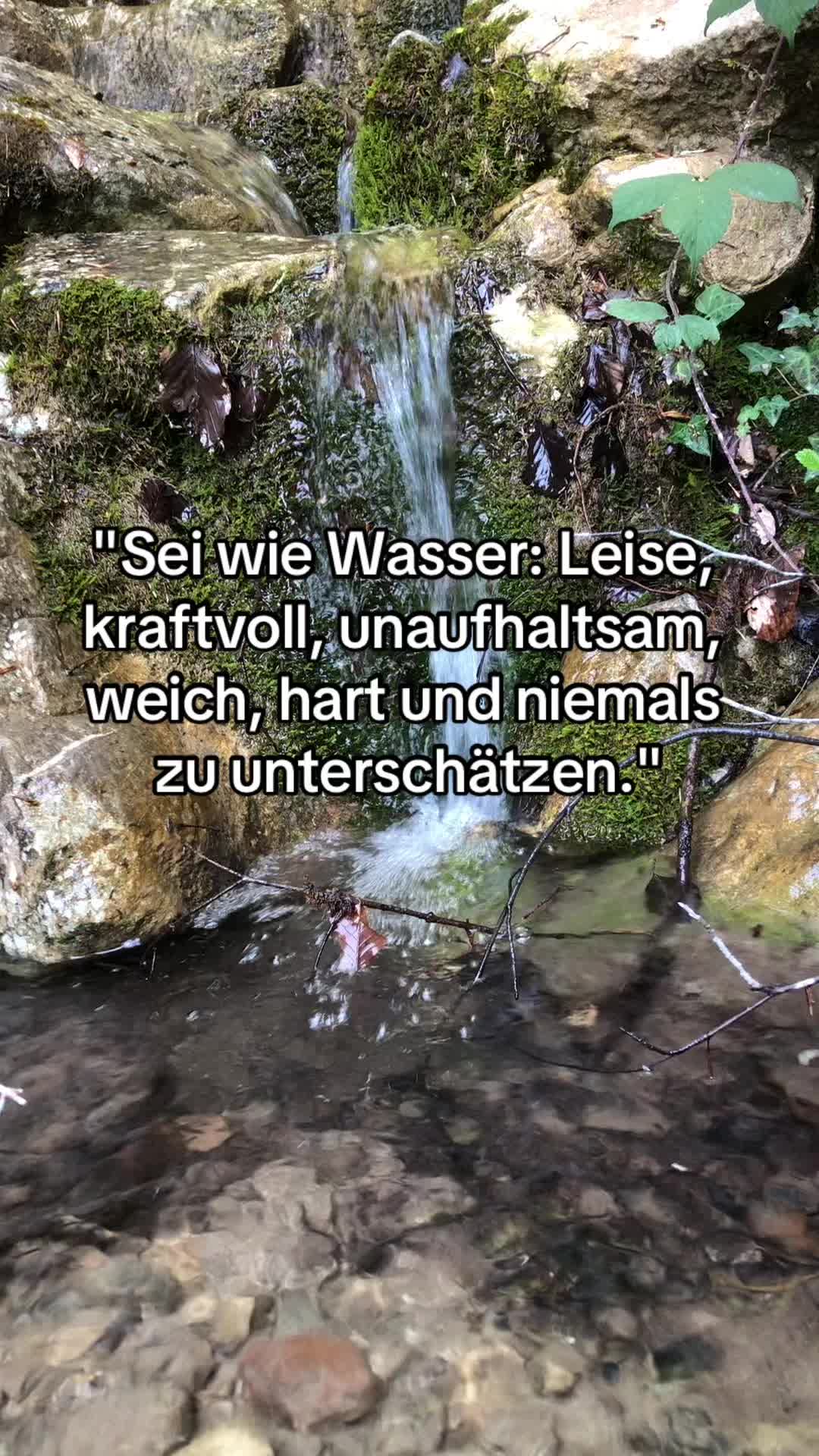 @_pflanzen_magie_