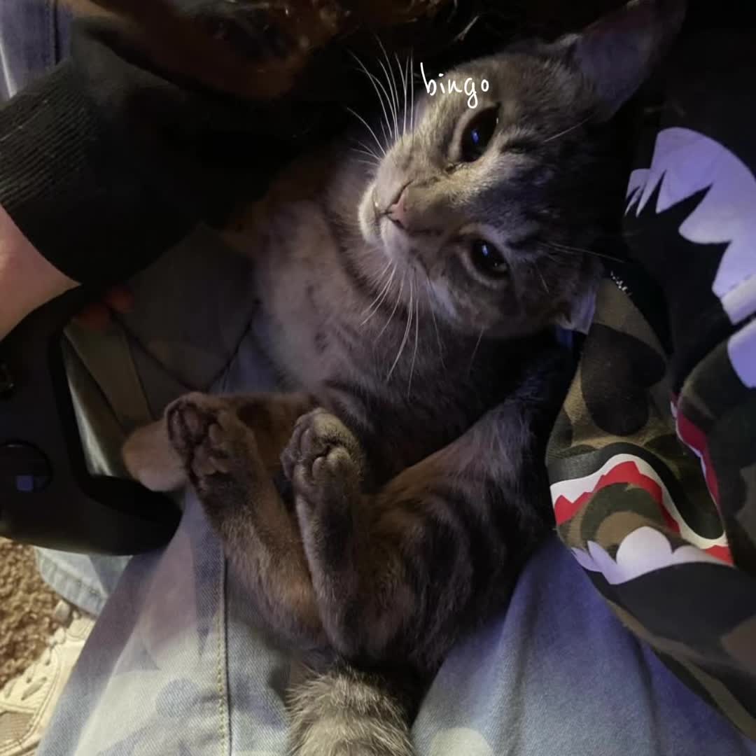 @:)