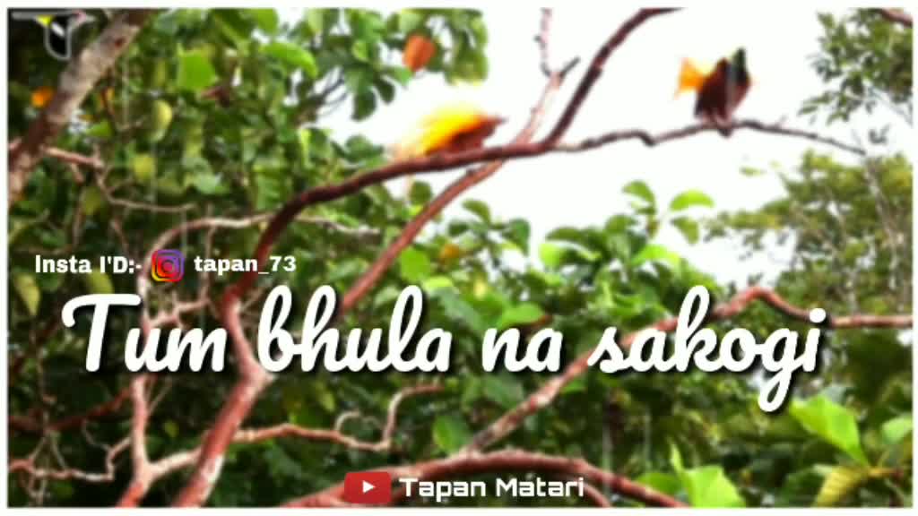 @Tapan Matari