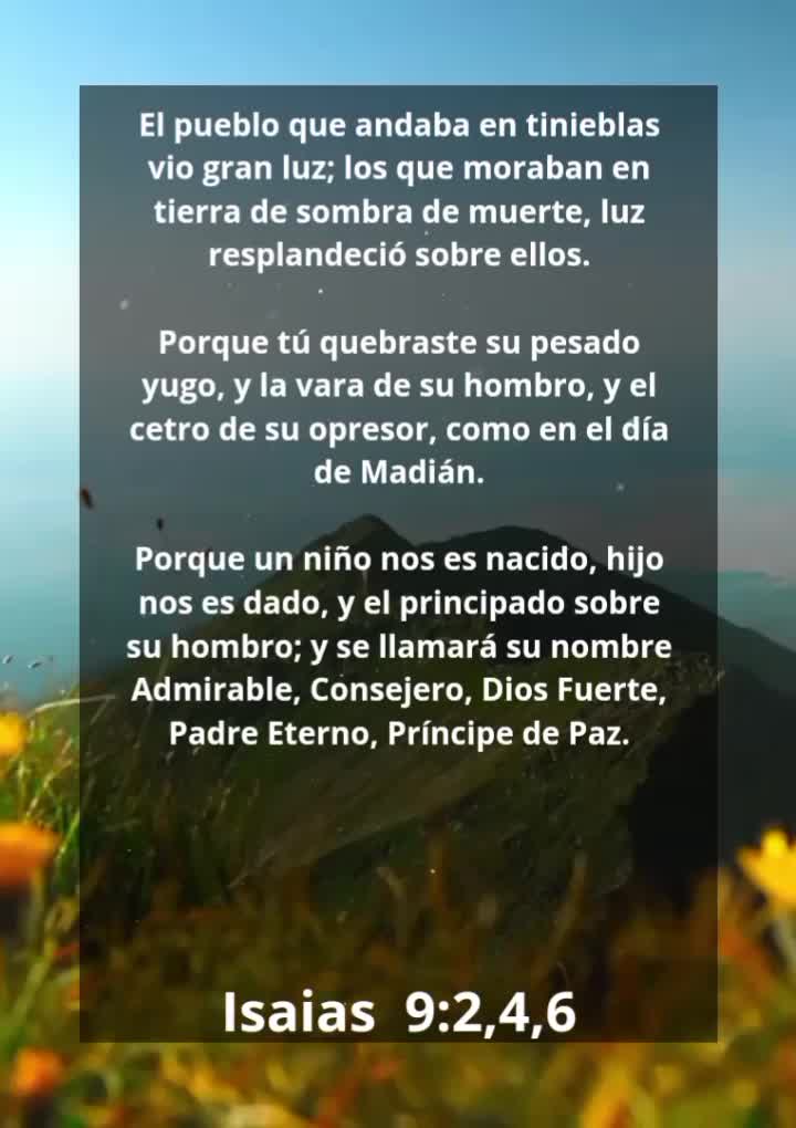 @Vicayquipa