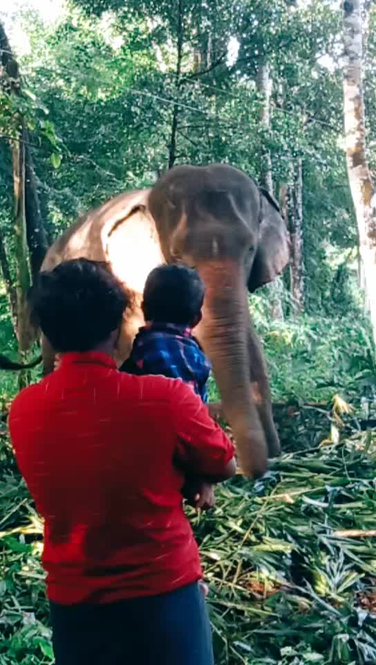 @sujith babu