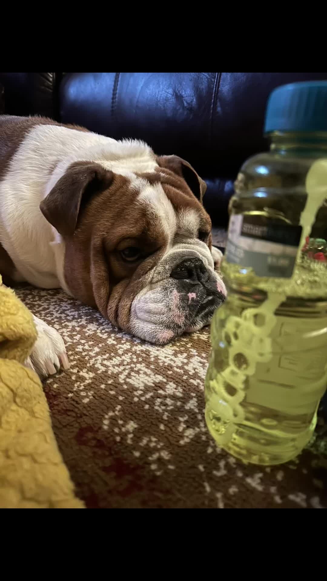 @Beast