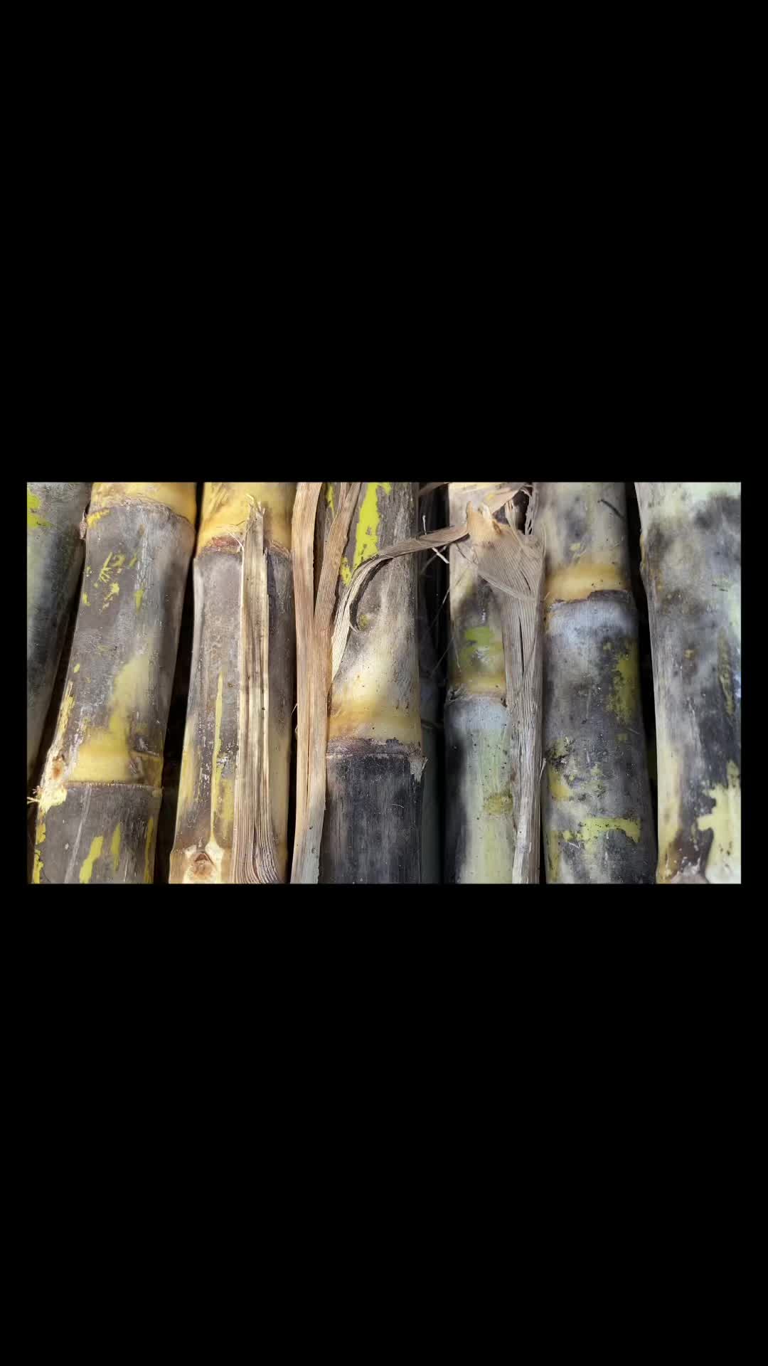 @เถ้าแก่น้อย🧑🏻🌾🫶🏻💨