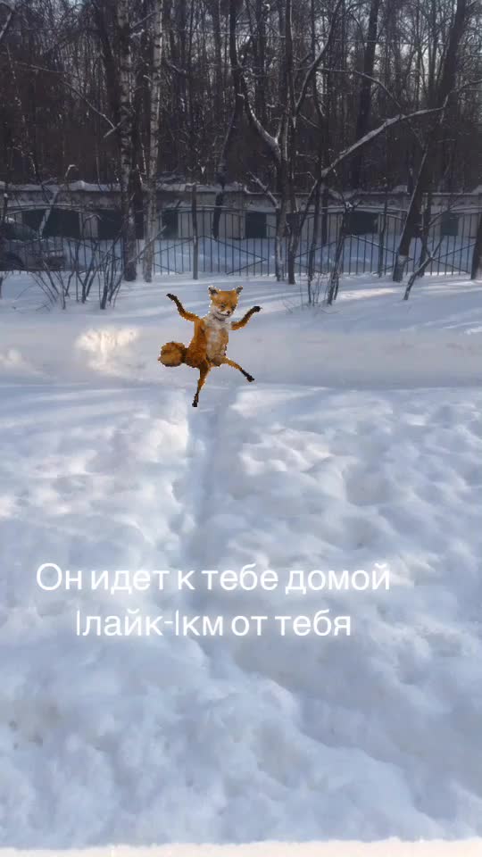 @Артём Вербицкий