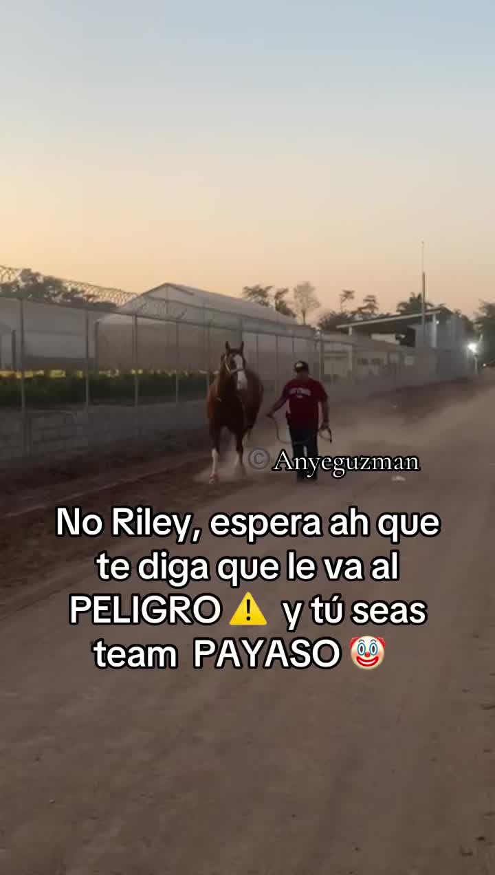@Anye guzman🏇🏻