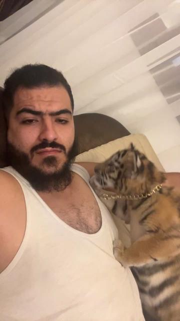 @مؤيد التركي 🐅🐆