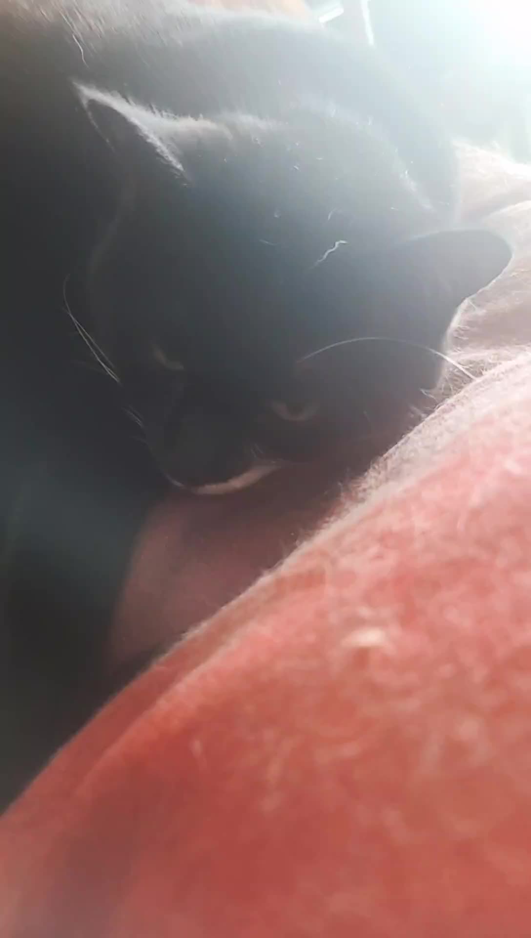 @MrPickles