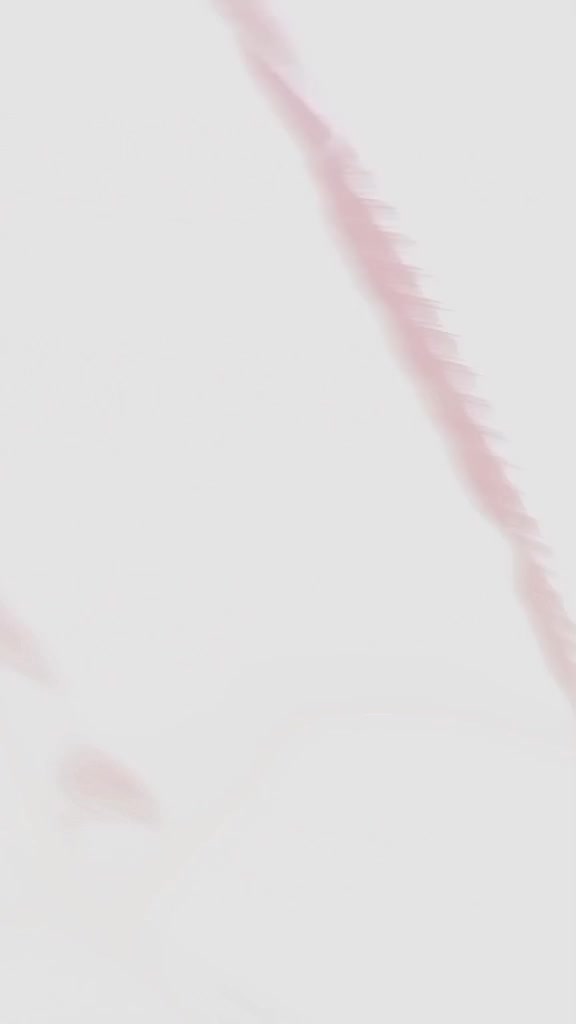 @Jedah1998