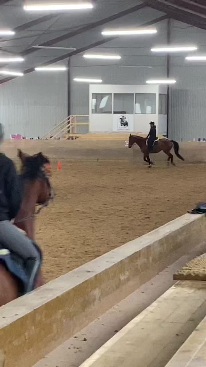 @🐎Ridning🐎 {3,8K}
