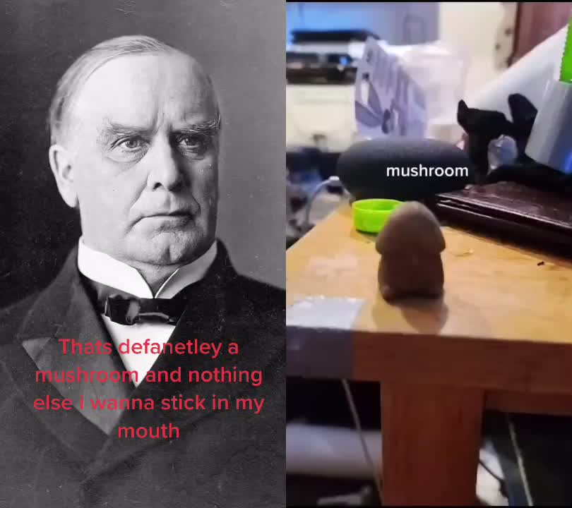 @William McKinley