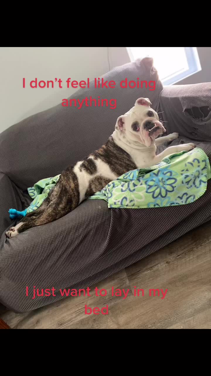 @nalathebulldog20