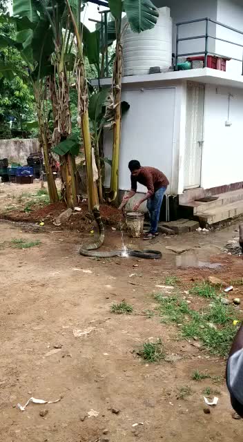 @hemadivya123
